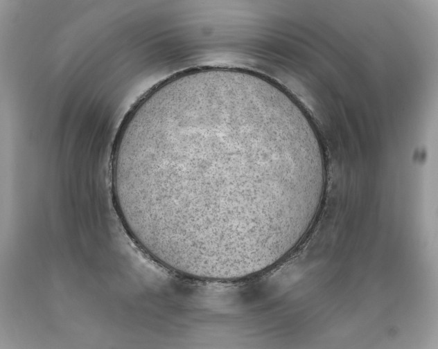 X0000089380848200706221252