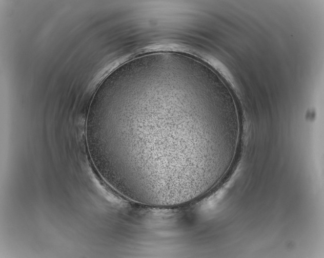 X0000089380849200706221252