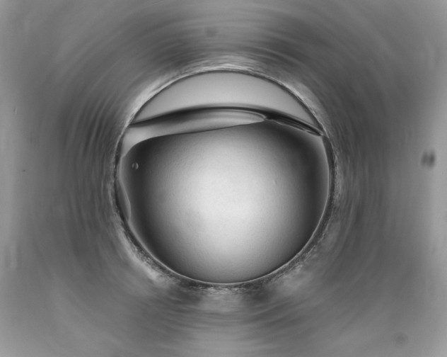 X0000089380850200706221252