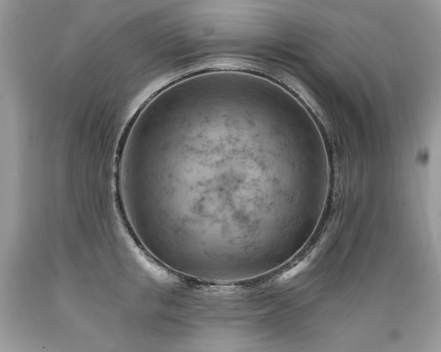 X0000089380853200706221252