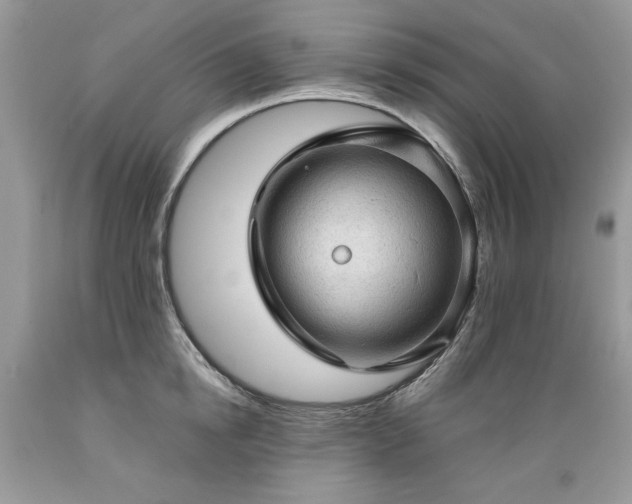 X0000089380854200706221252