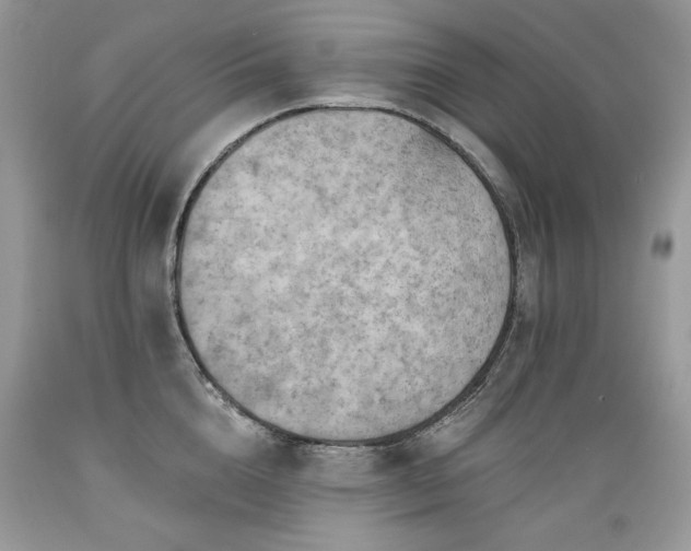 X0000089380856200706221252