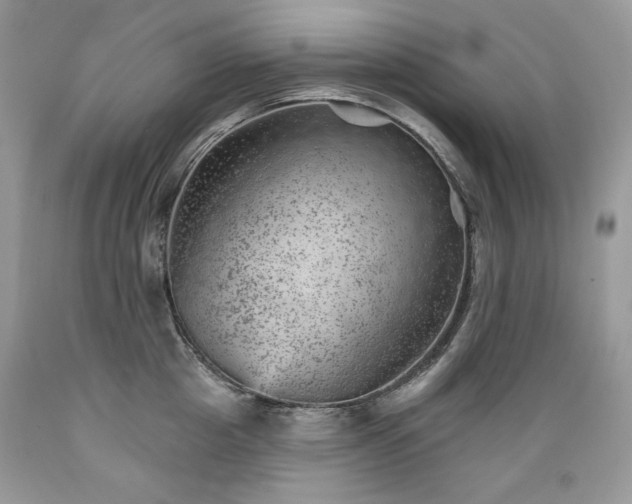 X0000089380857200706221252