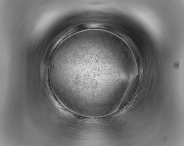 X0000089380861200706221252