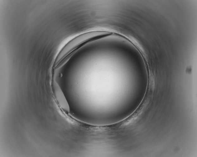 X0000089380862200706221252