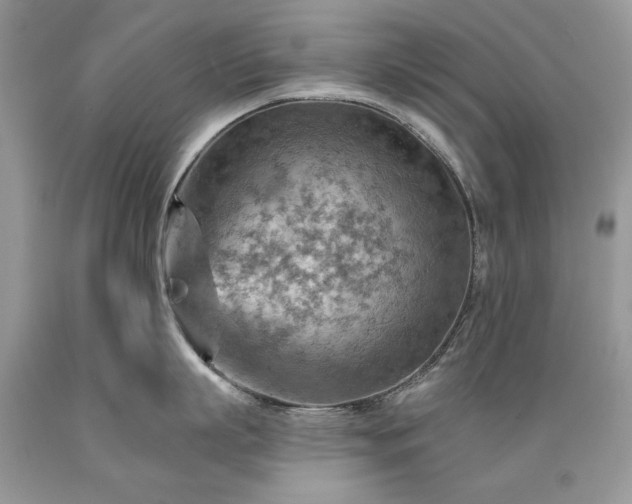X0000089380863200706221252