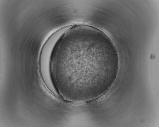 X0000089380864200706221252