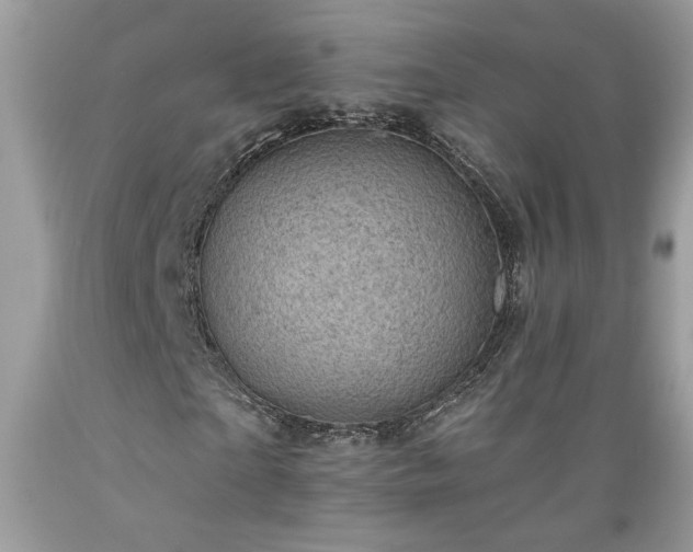 X0000089380865200706221252