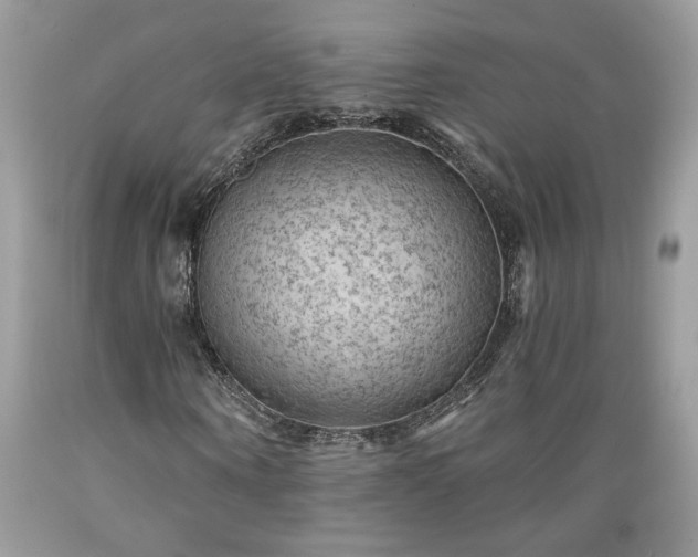 X0000089380866200706221252