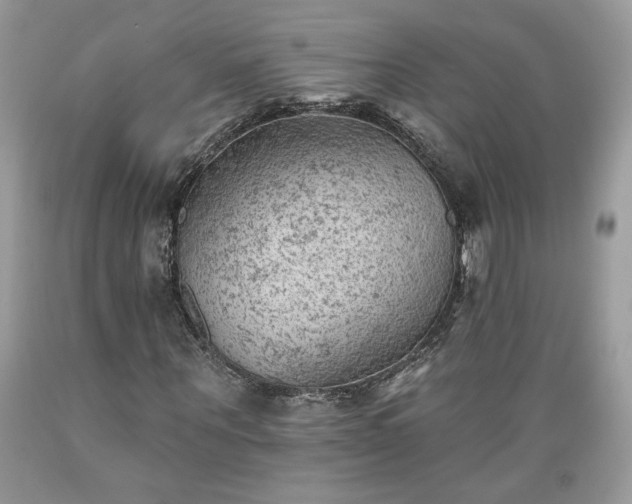 X0000089380867200706221252