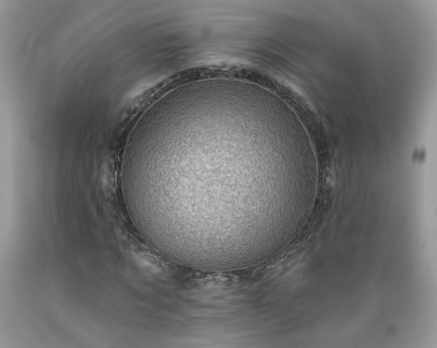 X0000089380869200706221252