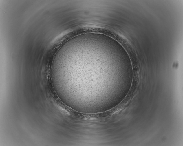 X0000089380870200706221252