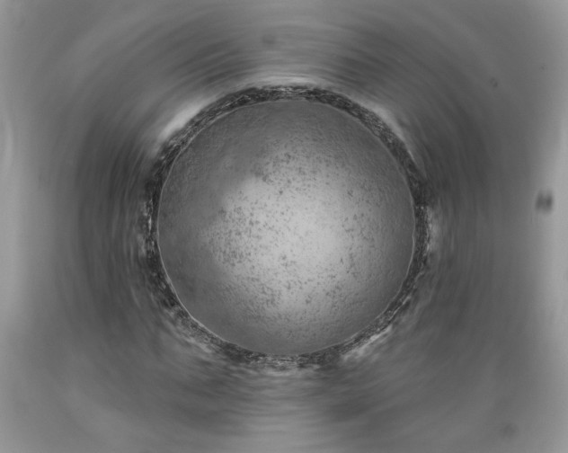 X0000089380871200706221252