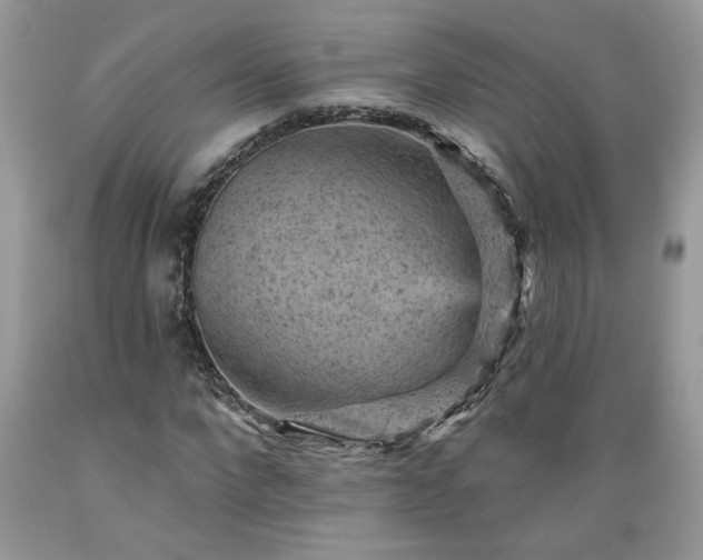 X0000089380872200706221252
