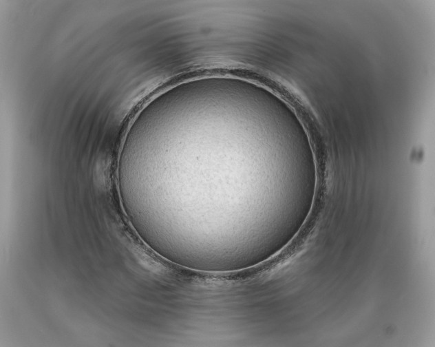 X0000089380873200706221252