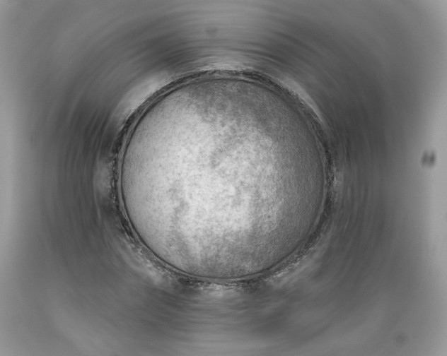 X0000089380874200706221252