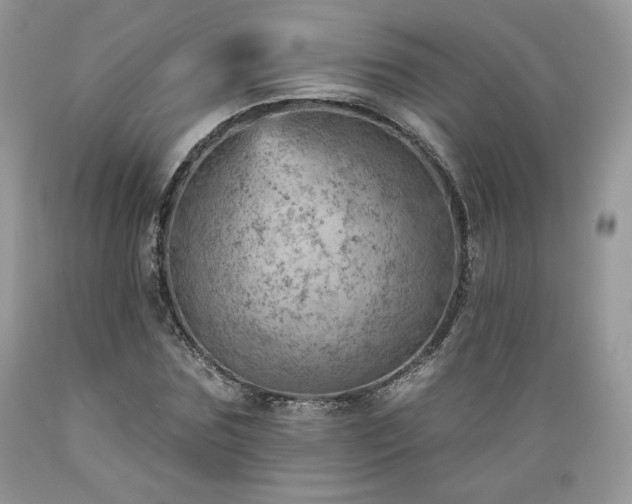 X0000089380875200706221252