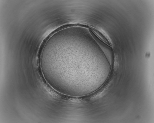X0000089380876200706221251