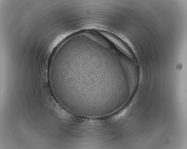 X0000089380877200706221251