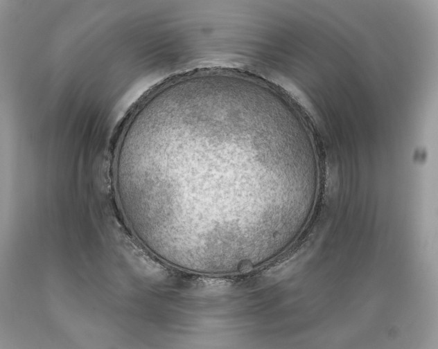 X0000089380878200706221251
