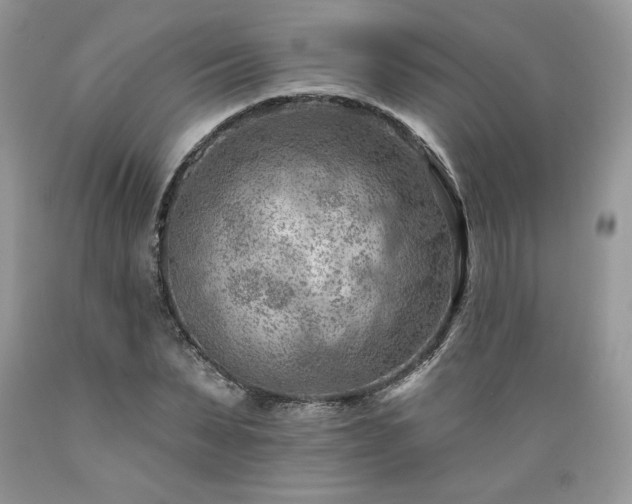 X0000089380879200706221251