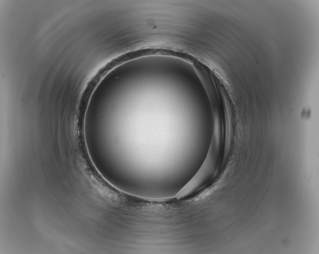 X0000089380880200706221251