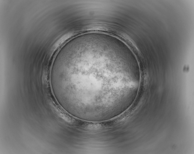 X0000089380882200706221251