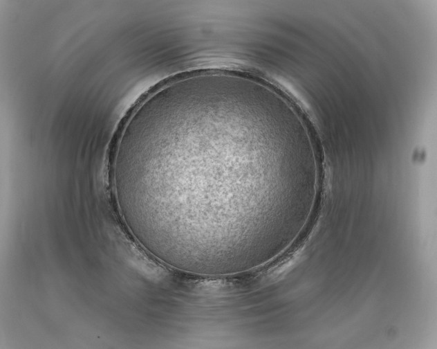 X0000089380883200706221251