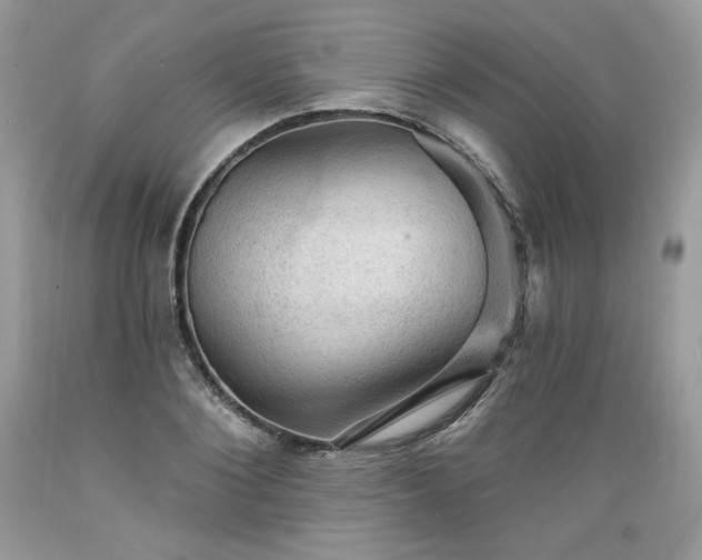 X0000089380884200706221251