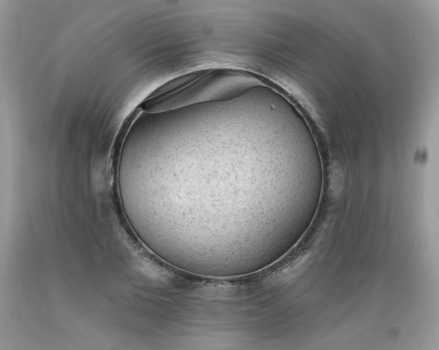 X0000089380885200706221251