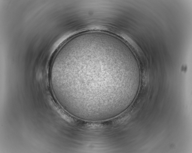 X0000089380886200706221251