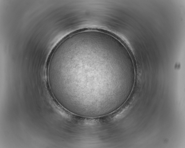 X0000089380887200706221251