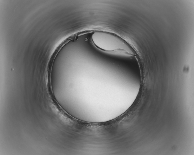 X0000089380888200706221251