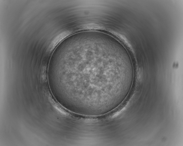 X0000089380889200706221251