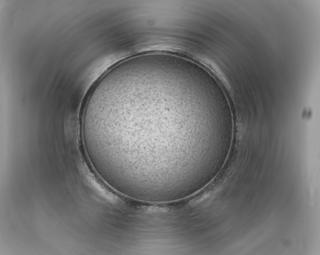 X0000089380890200706221251