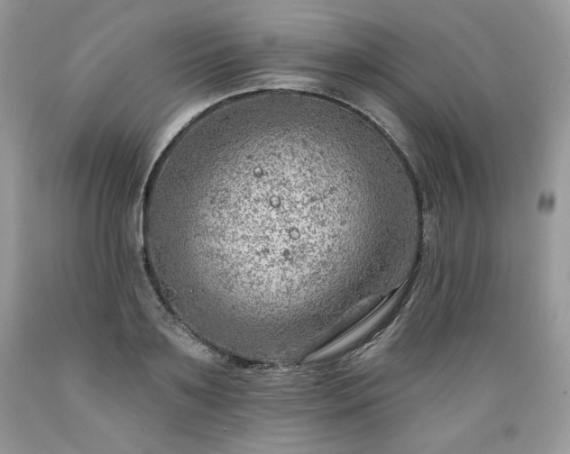 X0000089380891200706221251