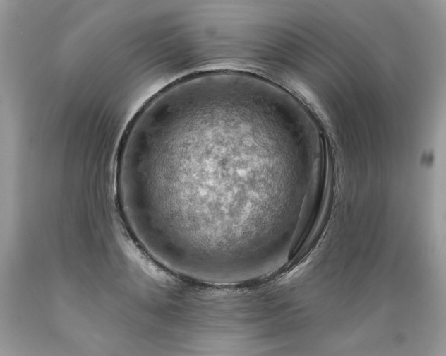 X0000089380892200706221251