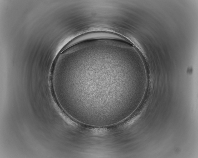 X0000089380893200706221251