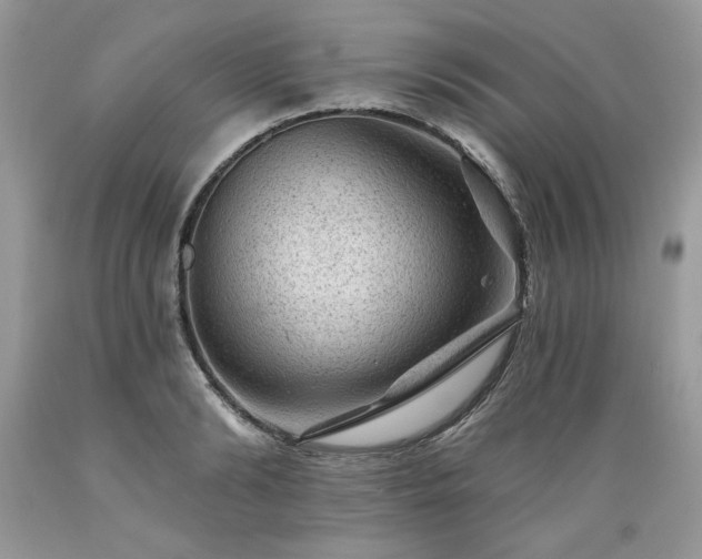 X0000089380894200706221251