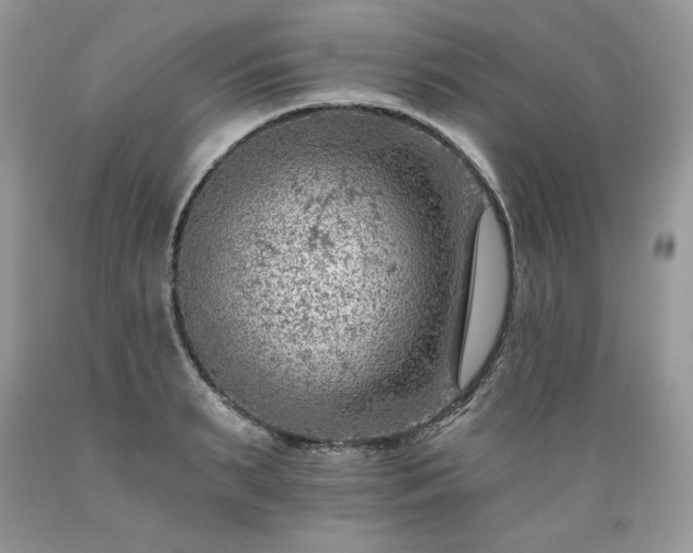 X0000089380895200706221251