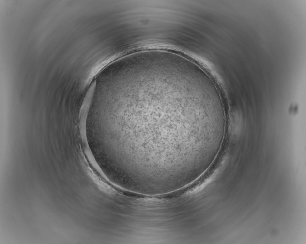 X0000089380897200706221251