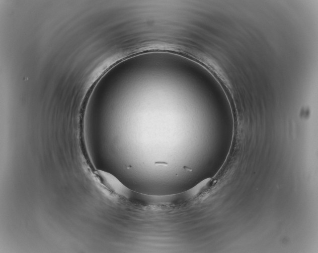 X0000089380898200706221251