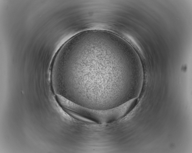 X0000089380900200706221251