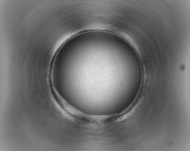 X0000089380901200706221251