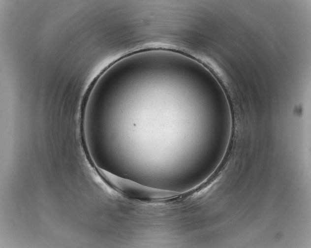 X0000089380902200706221251
