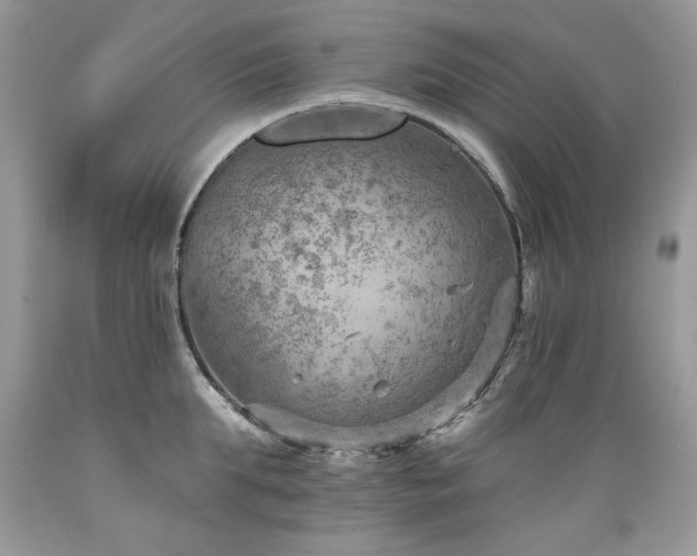 X0000089380903200706221251
