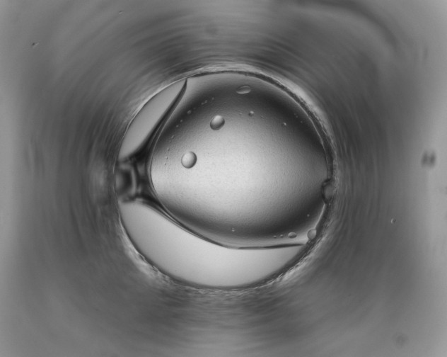 X0000089380905200706221251