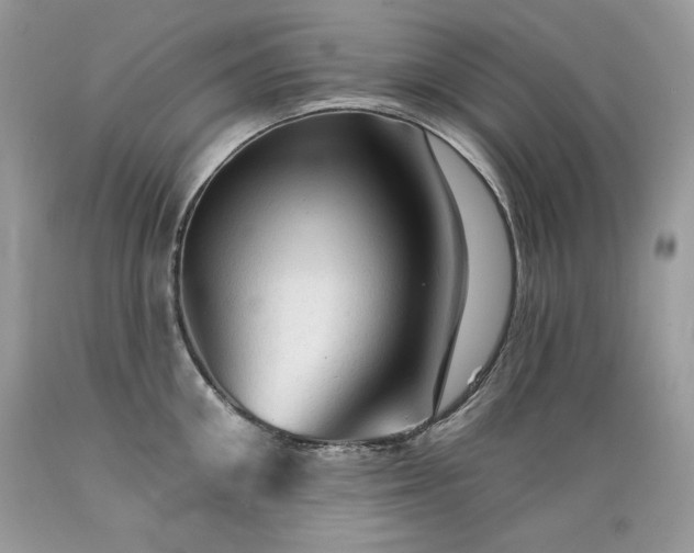 X0000089380906200706221251