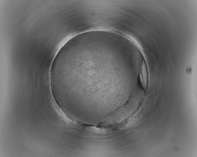 X0000089380907200706221251
