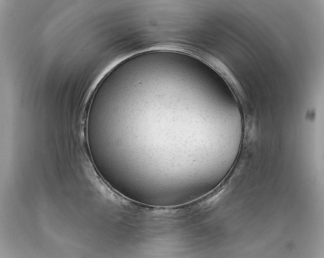 X0000089380908200706221251